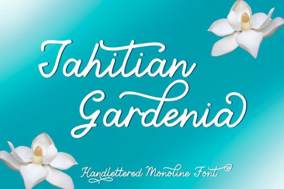 Tahitian Gardenia Font: A Designerβs Review